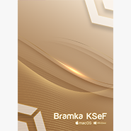 bramka KSeF.png